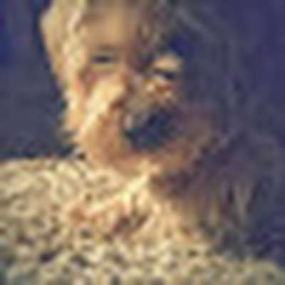 Memrise profile picture for @christen