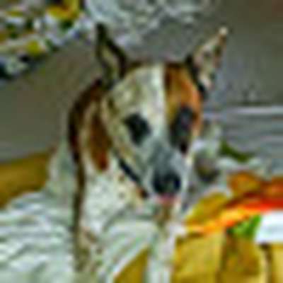 Memrise profile picture for @event