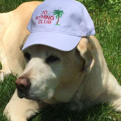 Memrise profile picture for @fibber