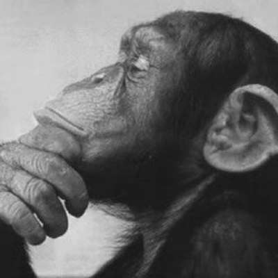Memrise profile picture for @humbug