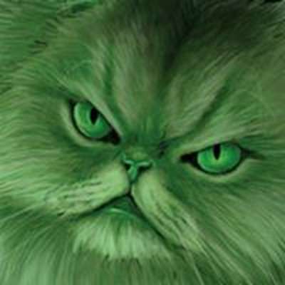 Memrise profile picture for @JDG