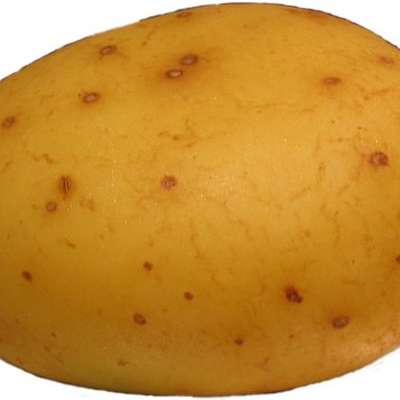 Memrise profile picture for @james22