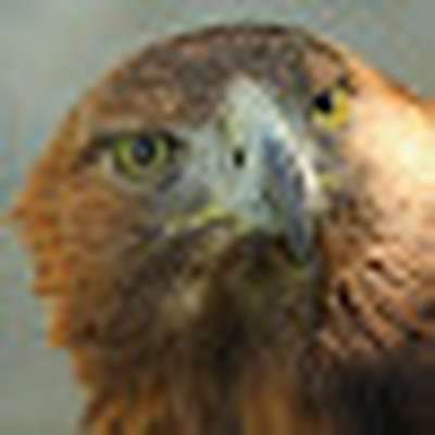 Memrise profile picture for @marcos