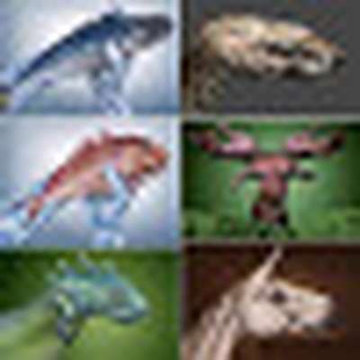 Memrise profile picture for @mddipu