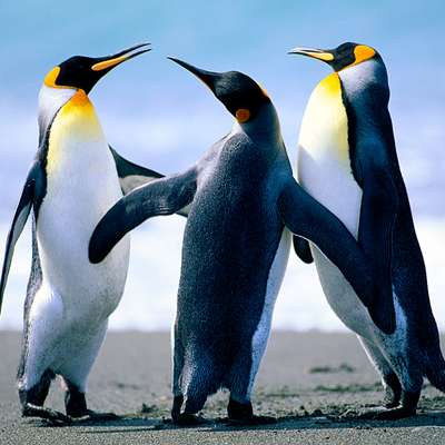 Memrise profile picture for @minute