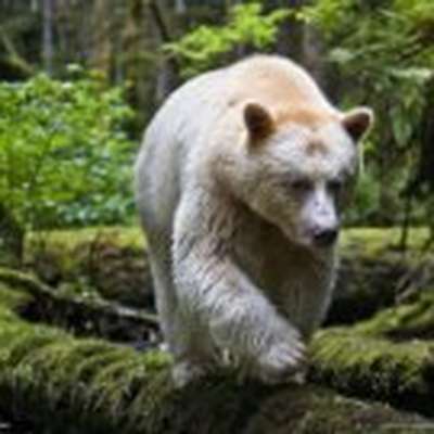Memrise profile picture for @mukul