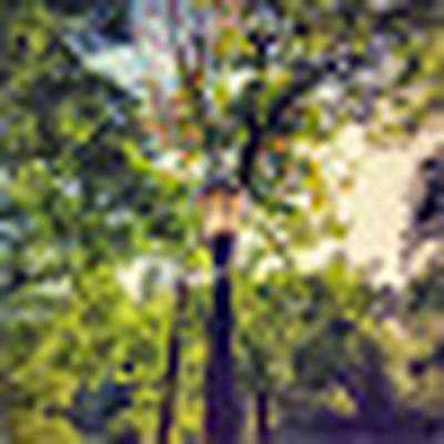 Memrise profile picture for @pineapple