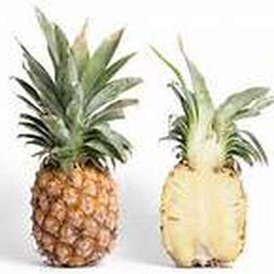 Memrise profile picture for @pineapples
