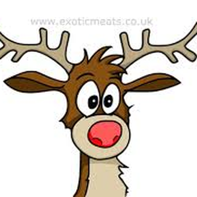 Memrise profile picture for @reindeer