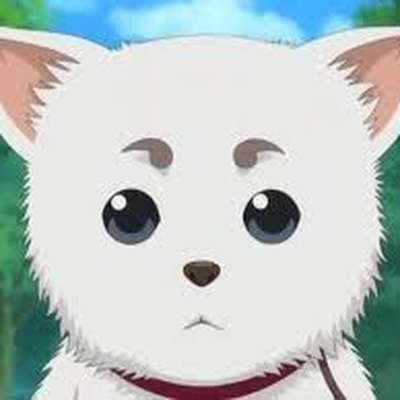 Memrise profile picture for @saber