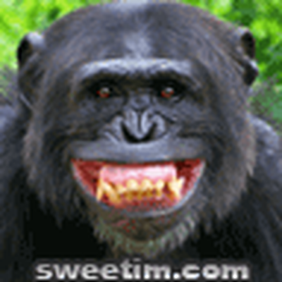 Memrise profile picture for @samo