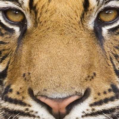 Memrise profile picture for @separate