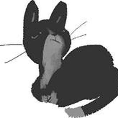 Memrise profile picture for @shoon