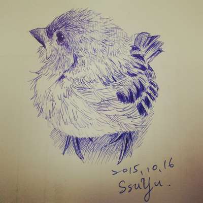 Memrise profile picture for @sunless