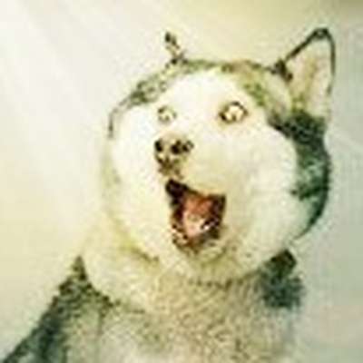 Memrise profile picture for @tough