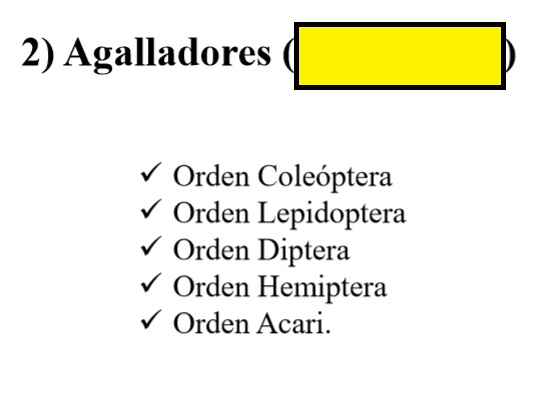 Level 2 13 24 Insectos fitófagos Memrise