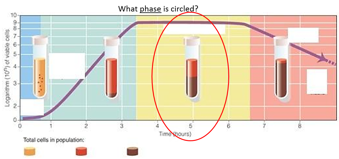 Level 20 BIO205 Microbiology Memrise