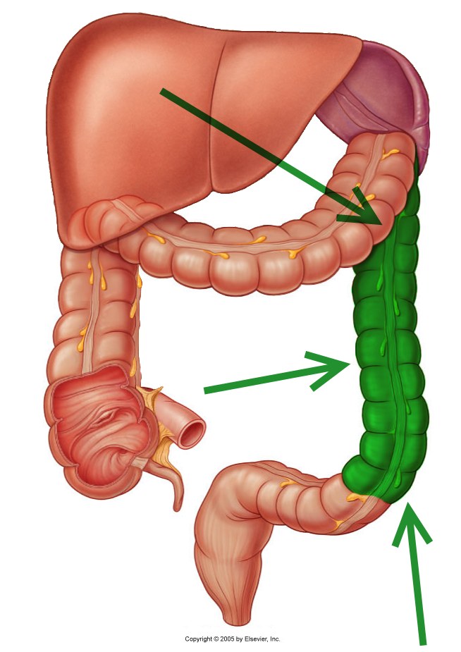 level-39-durham-university-medicine-year-one-memrise