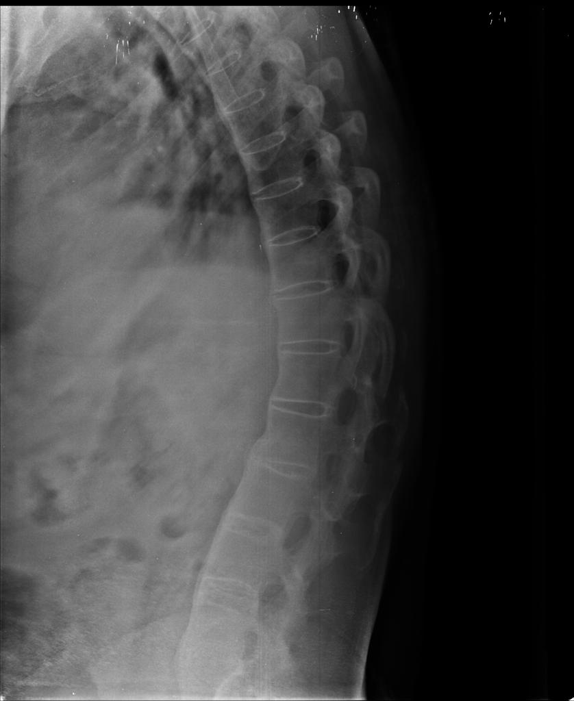 Level 11 Orthopaedics, Rheumatology, Trauma, & Emergency Oxford Me