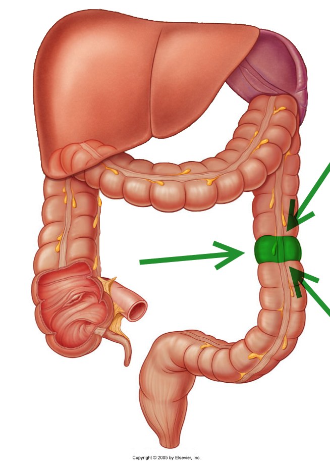 Level 39 durham university medicine year one memrise