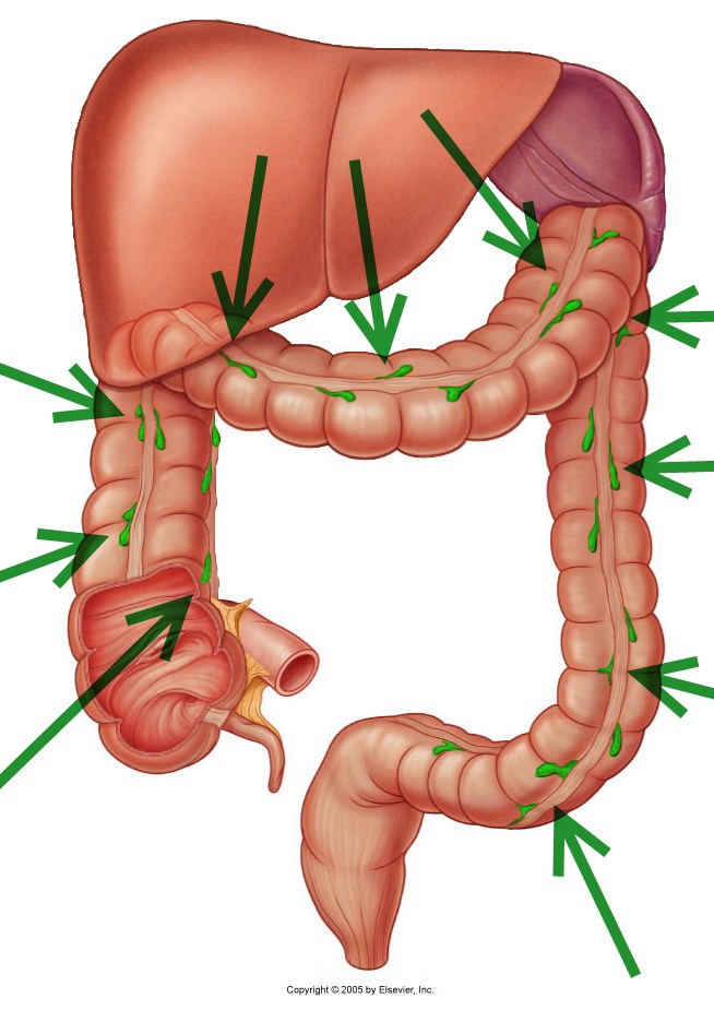 level-39-durham-university-medicine-year-one-memrise