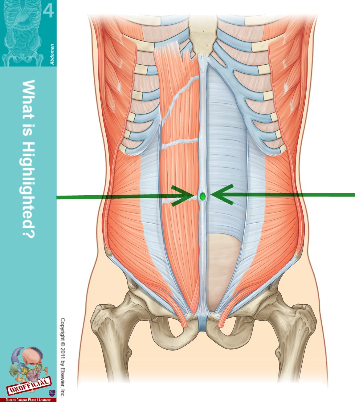 level-49-durham-university-medicine-year-one-memrise