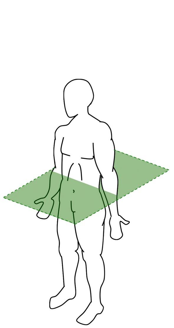 AS P.E AQA Biology Diagrams