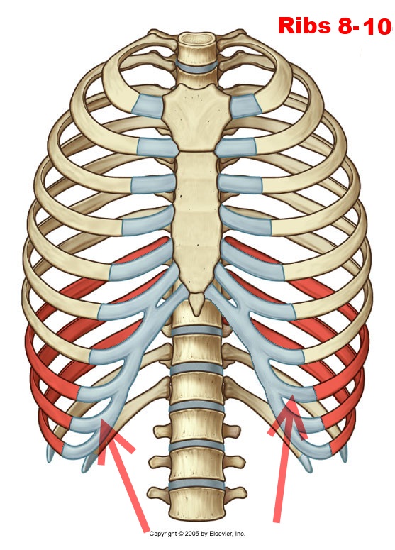 Level 4 - Durham University Medicine (Year One) - DEUTSCH, - Memrise