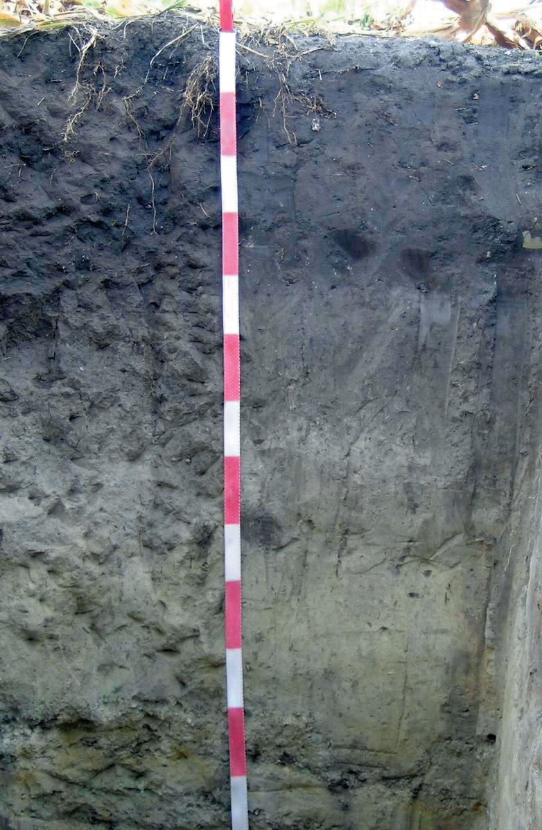 Level 2 EU soil classification Soil Memrise