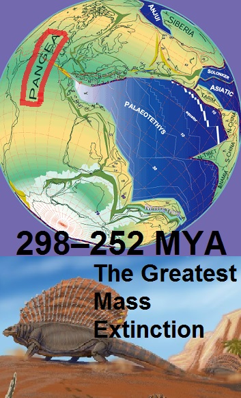 Level 3 - Periods of Paleozoic era 541 - 252.2 MYA - Geologic time sc ...