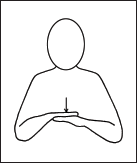 Level 1 - The Basics - Makaton - Memrise