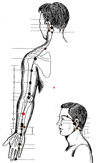 Level 19 - Locations Sanjiao Points - Acupuncture, Channel Systems ...