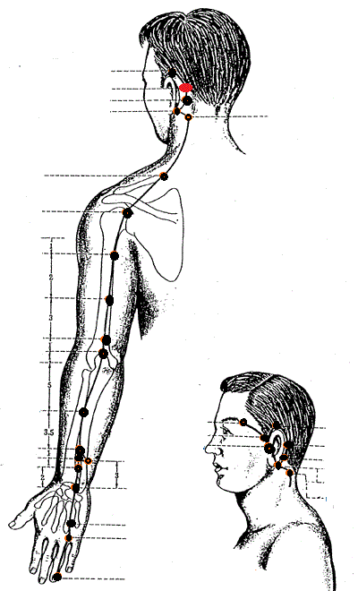 Level 19 - Locations Sanjiao Points - Acupuncture, Channel systems ...