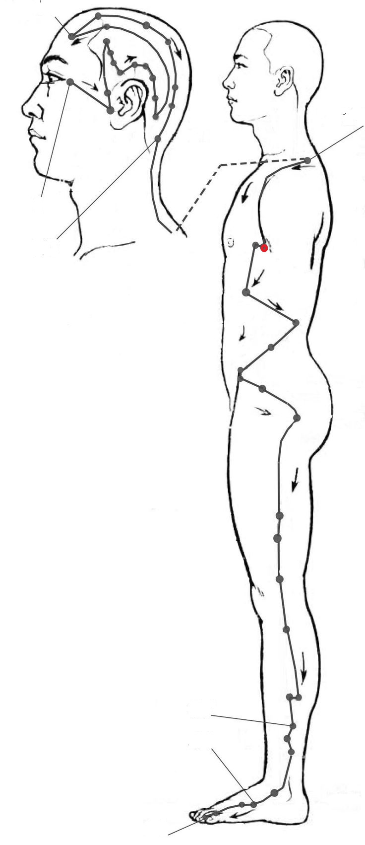 Level 21 Location Gallbladder Points Acupuncture, Channel systems