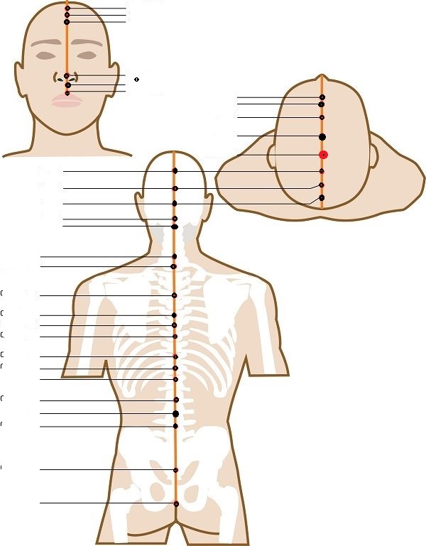 Level 25 Acupuncture, Channel systems Memrise