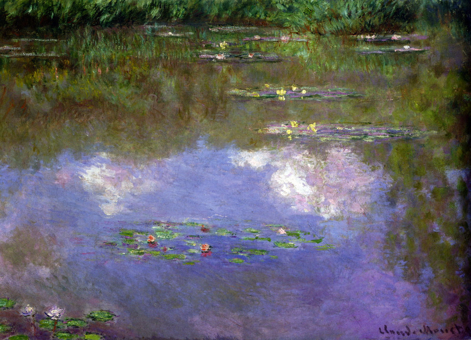 waterlilies: the clouds