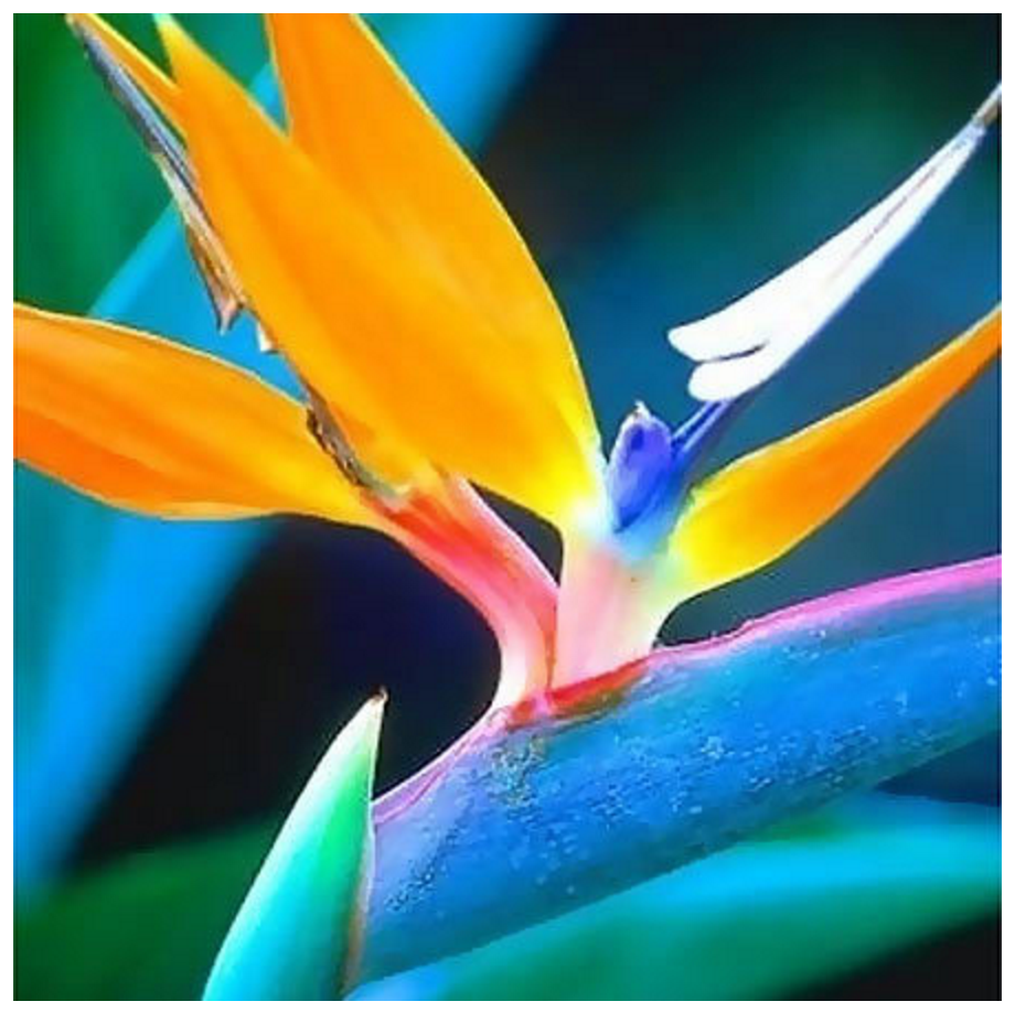 Level 3 Flowers 35 50 50 Most Beautiful Flowers In The World Level 3 Flowers 35 50 50 Most Beautiful Flowers In The World