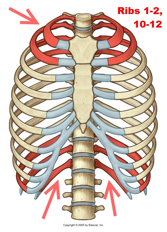 level-3-durham-university-medicine-year-one-memrise